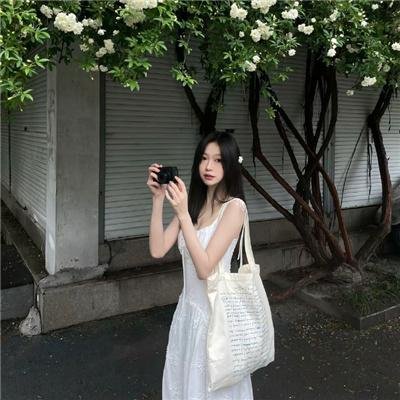 太极旗飘扬